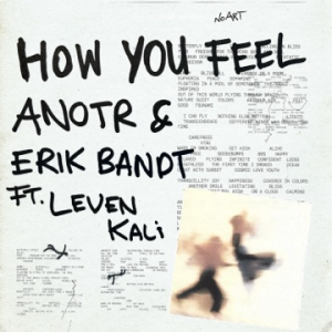 ANOTR - How You Feel (feat Leven Kali)