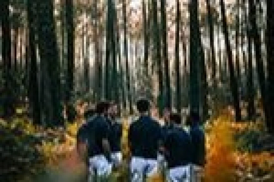 BOULEVARD DES AIRS - EN CONCERT