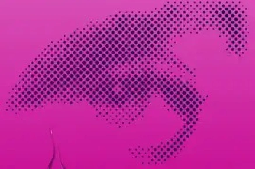Prince - With This Tear