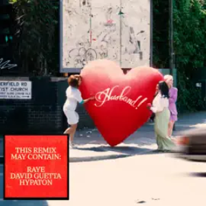 Raye - Where Is My Husband (David Guetta & Hypaton Remix)