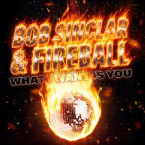 Bob Sinclar & Fireball - What I Want Is You